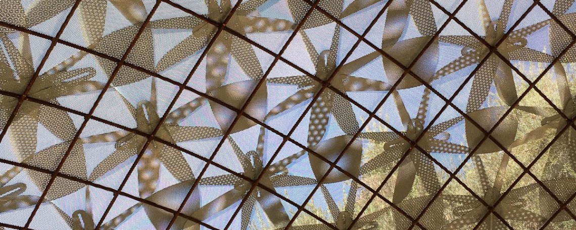 View of CAPLA gridshell from interior, looking up