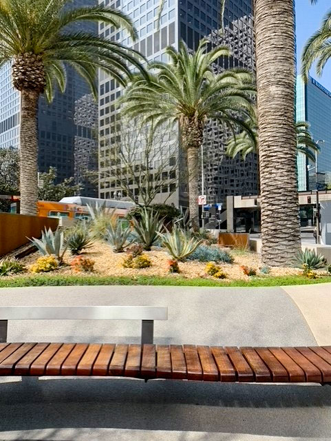 Landscaping and bench in downtown Los Angeles