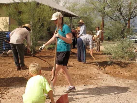 Urban forestry work