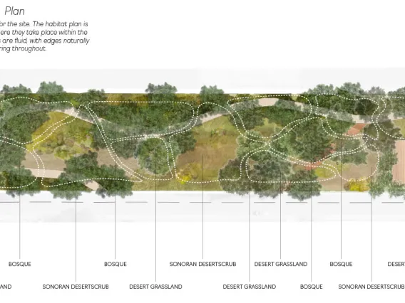 The Ephemeral Essence of Plant + Place, by Krista Planinac