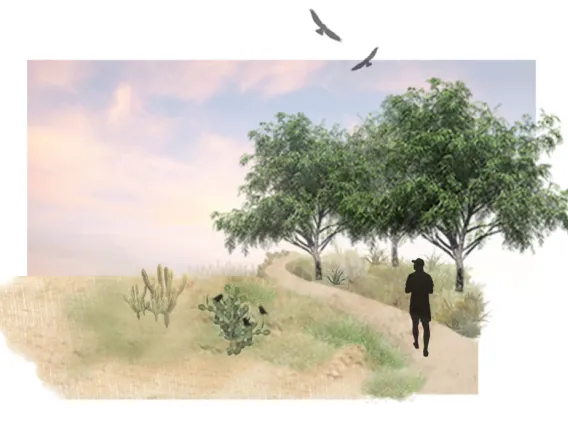 The Ephemeral Essence of Plant + Place, by Krista Planinac