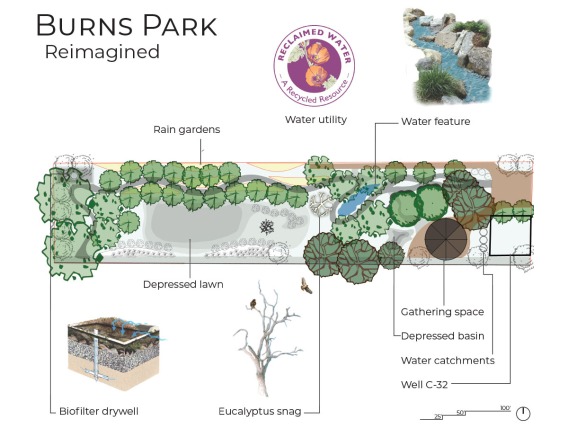 Burns Park Reimagined