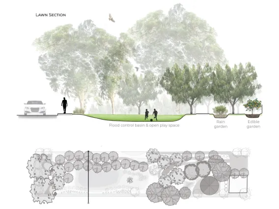 Lawn section