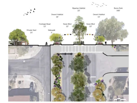 Swan Boulevard Habitat Restoration