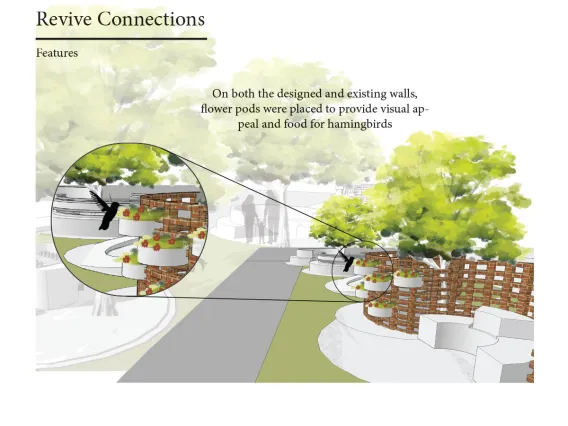 Revive Connections Features