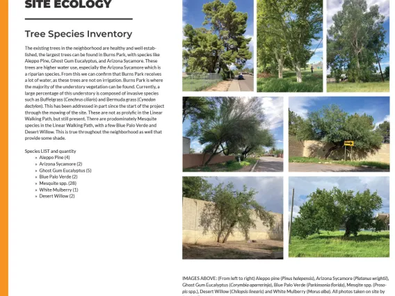 Site ecology