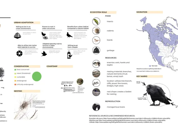 Common Raven habitat