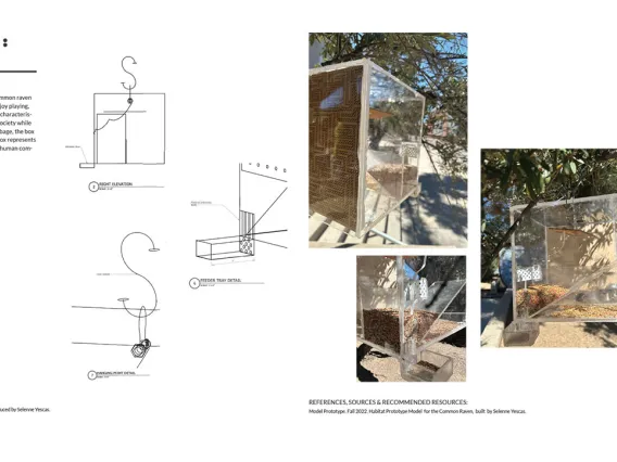 Common raven habitat prototype