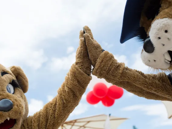 Wildcat Mascot Hi-5