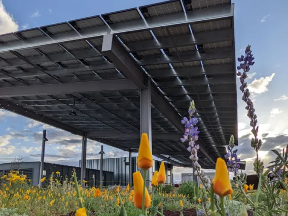 ENR2 solar rooftop garden