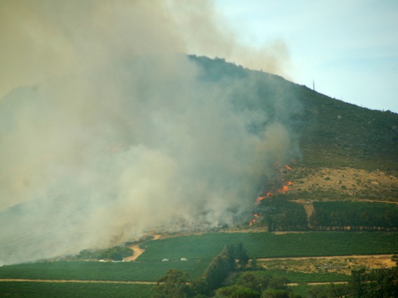 Wildfire smoke encroaches on a winery, seen from a distance