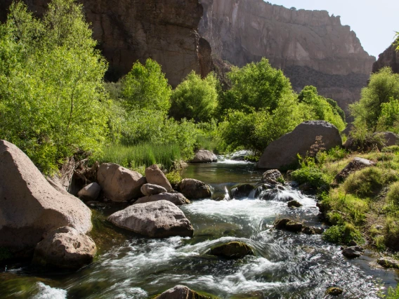 Water flows rapidly over rocks and past riparian vegetation in Aravaipa Canyon while red rock cliffs tower in the background.