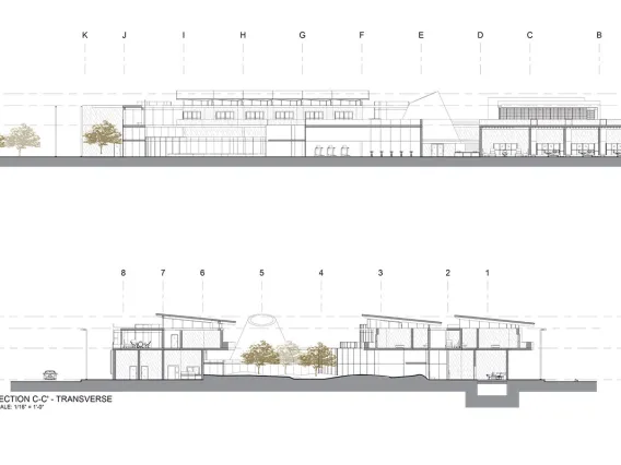 Healing Architecture, by Orianna Zimmerman.