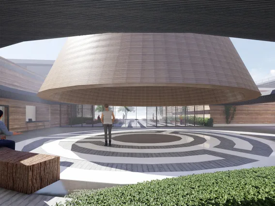 Healing Architecture, by Orianna Zimmerman.