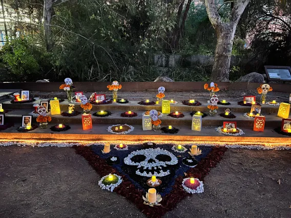 Día de los Muertos Celebration