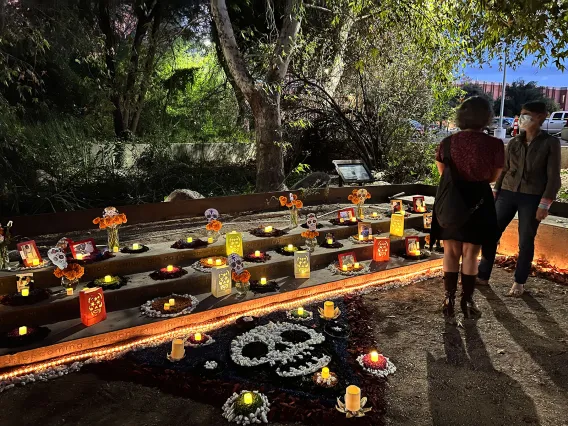 Día de los Muertos Celebration