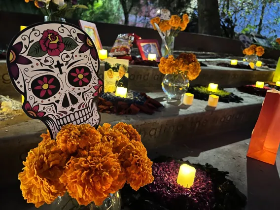 Día de los Muertos Celebration