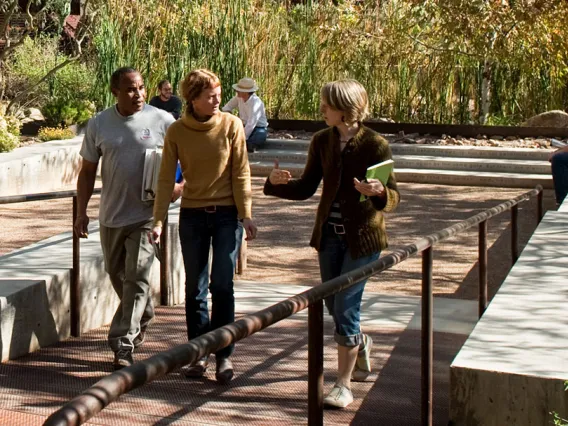 Diverse students and faculty in CAPLA's Underwood Garden