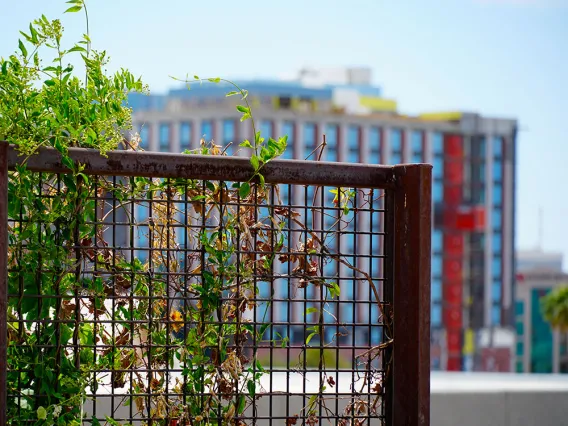 Building under construction, with landscape elements