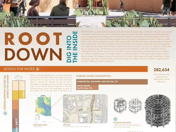 Root Down, by Maggie Collopy