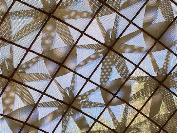 View of CAPLA gridshell from interior, looking up