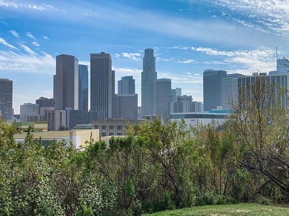 Downtown Los Angeles skyline from Vista Hermosa Park.