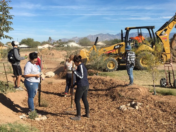 University of Arizona and Star Academic High School students at work on green infrastructure