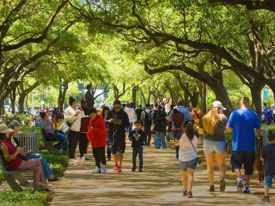 Brown Foundation Promenade