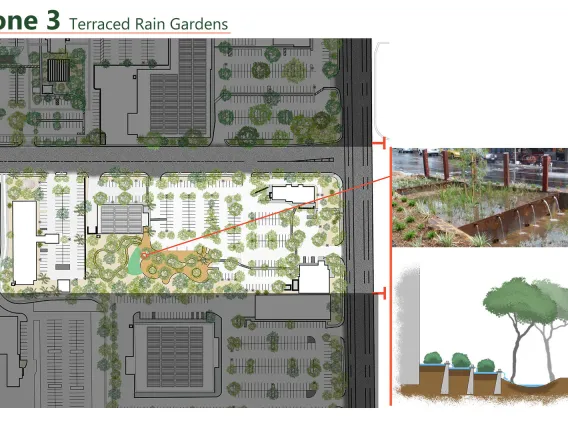 El Camino Verde, by MLA students