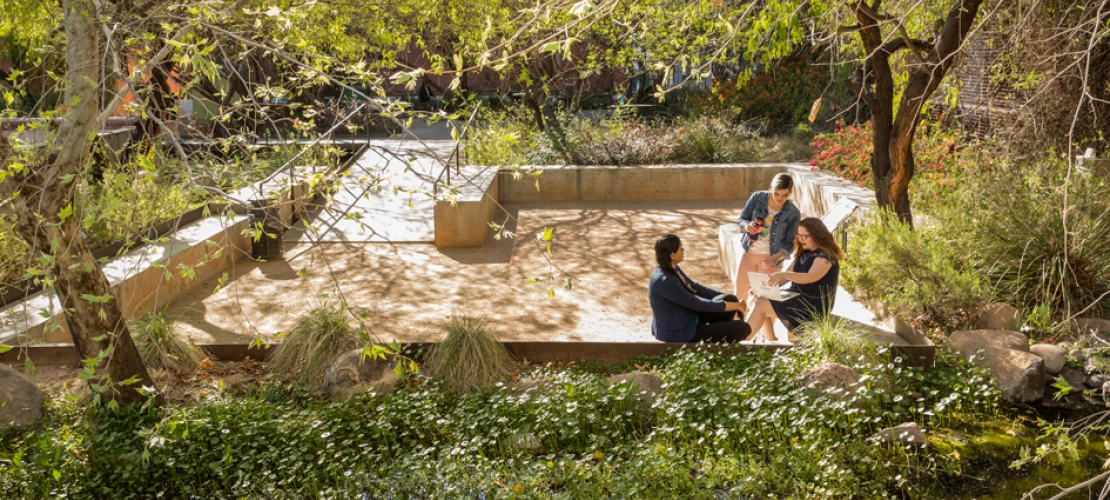 Underwood Garden at the College of Architecture, Planning  Landscape Architecture at the University of Arizona