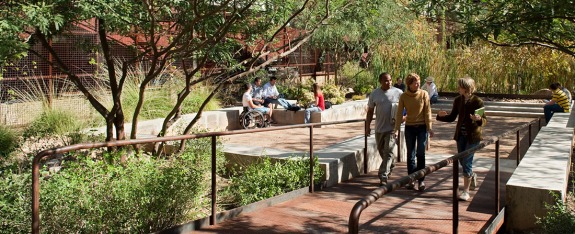 Faculty and students in the Underwood Sonoran Garden