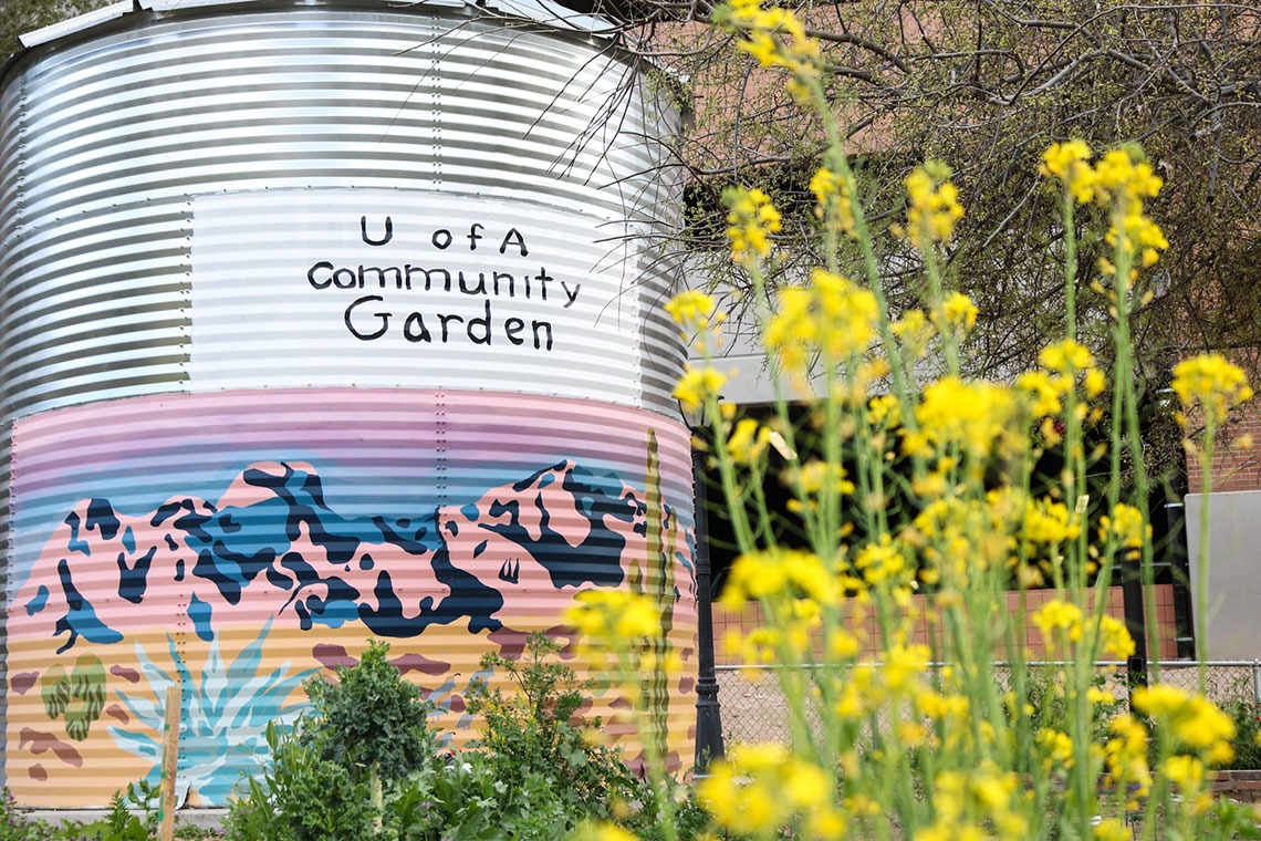 UArizona Community Garden cistern and sign