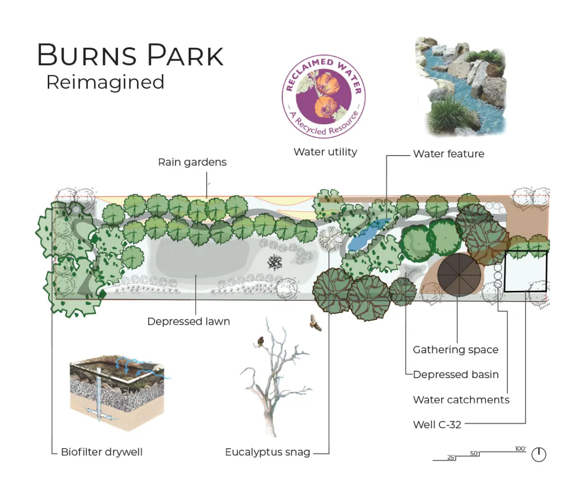 Burns Park Reimagined