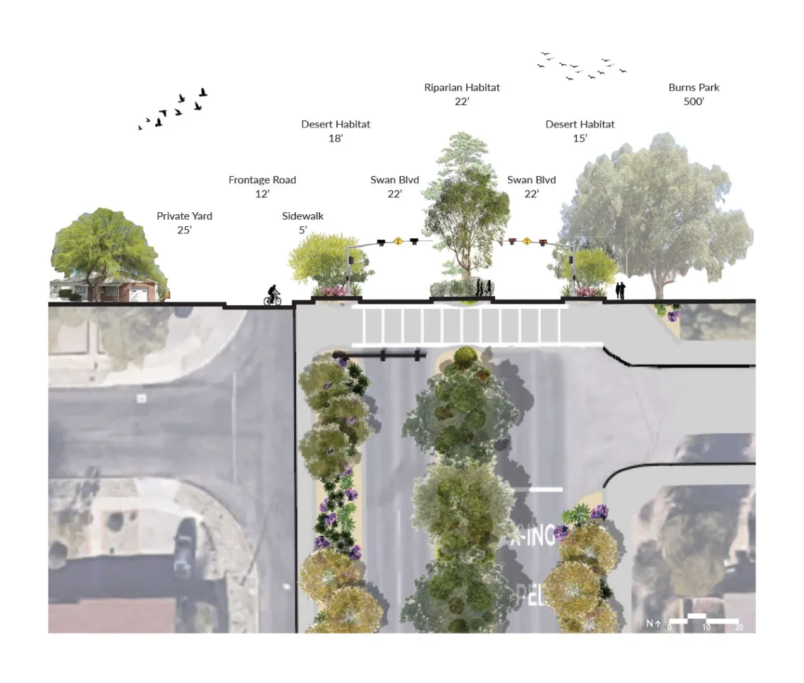 Swan Boulevard Habitat Restoration
