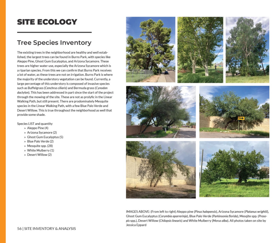 Site ecology