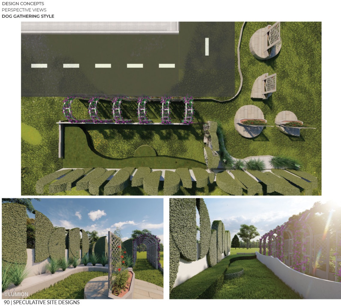 Sonoran Birds and Climate Change: UArizona Landscape Architecture Students  Work with Community to Design Urban Bird Habitats
