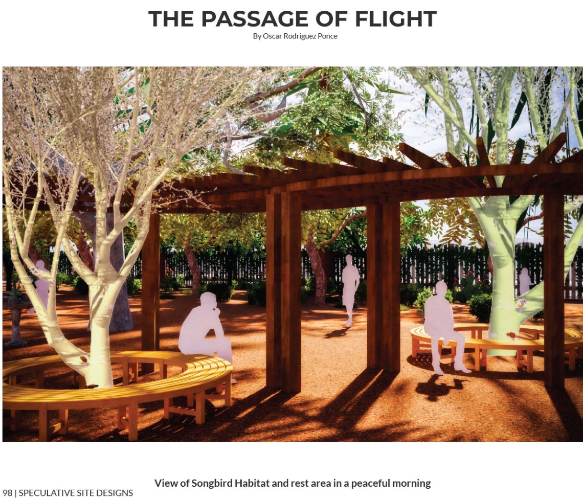 Sonoran Birds and Climate Change: UArizona Landscape Architecture Students  Work with Community to Design Urban Bird Habitats