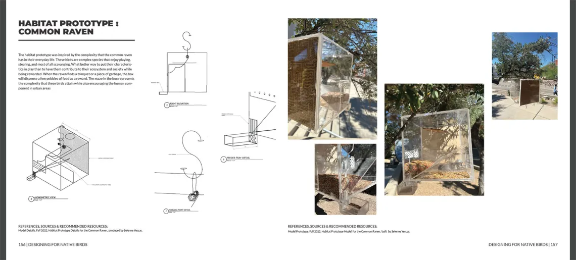 Common raven habitat prototype
