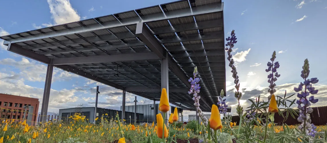 ENR2 solar rooftop garden