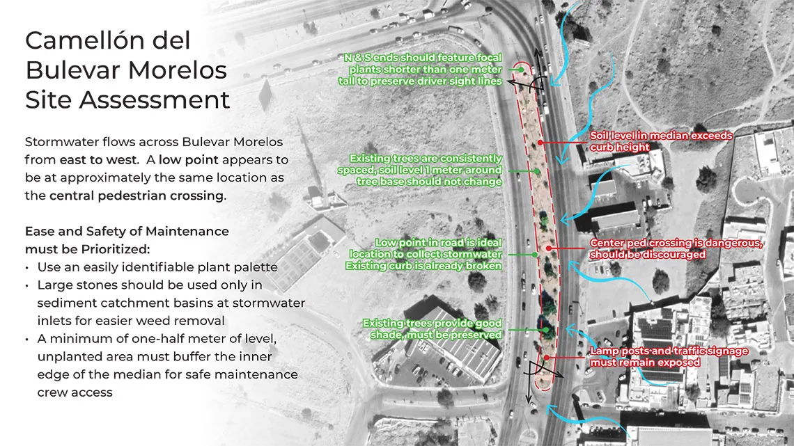 Site assessment