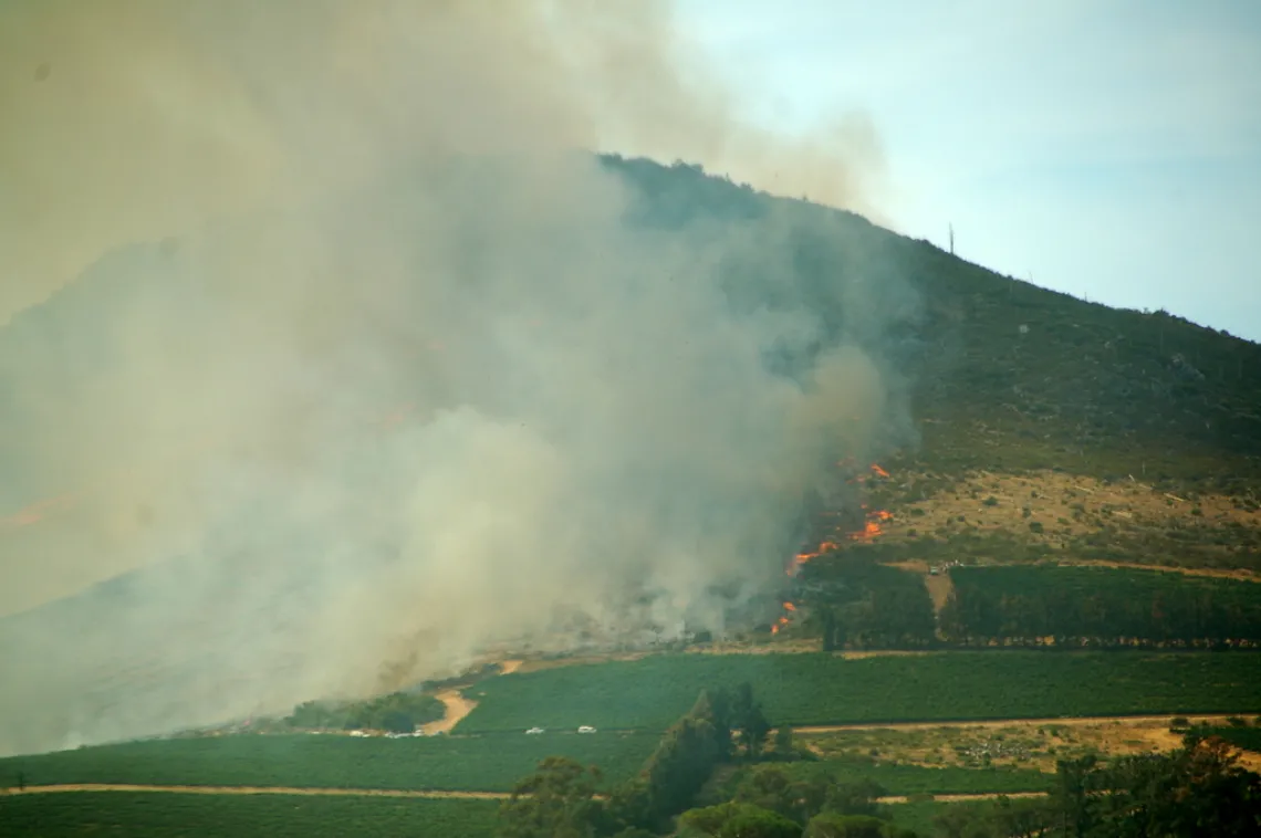 Wildfire smoke encroaches on a winery, seen from a distance