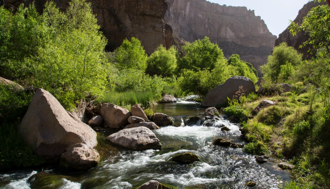 Water flows rapidly over rocks and past riparian vegetation in Aravaipa Canyon while red rock cliffs tower in the background.