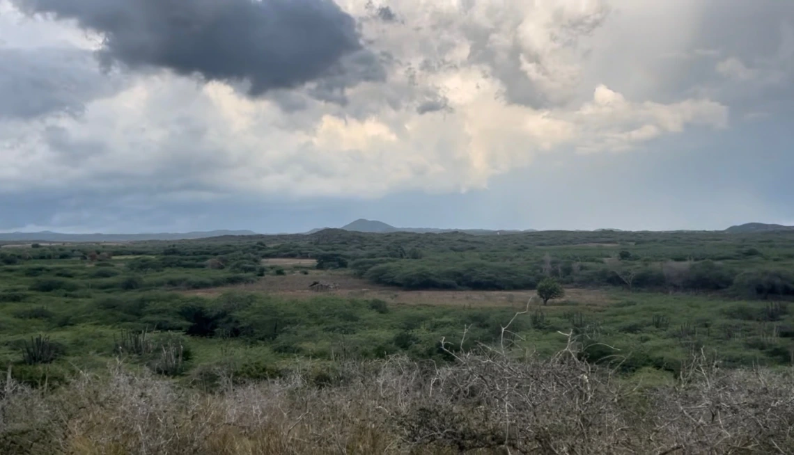 View of landscape