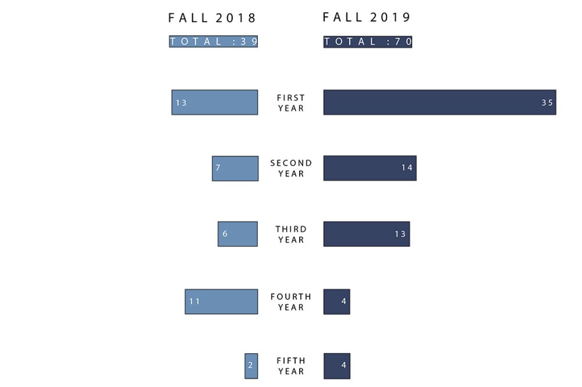 Chart of AIAS Mentorship Numbers 2018-2019