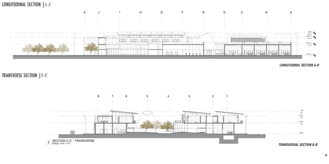 Healing Architecture, by Orianna Zimmerman.