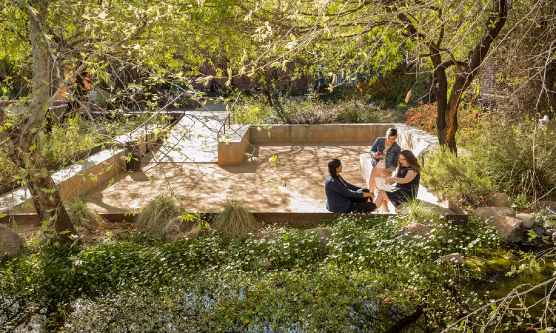 Underwood Garden at the College of Architecture, Planning  Landscape Architecture at the University of Arizona