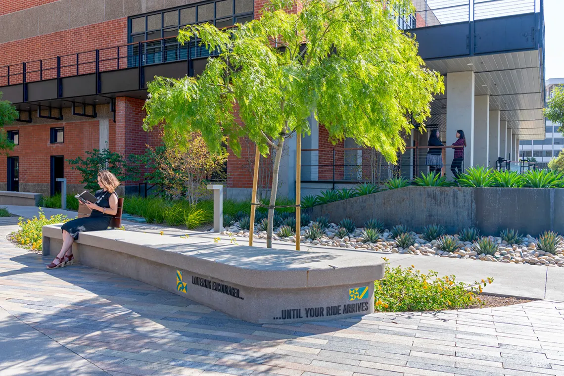 Landscape Architecture Now!: Jodidio, Philip: 9783836536769