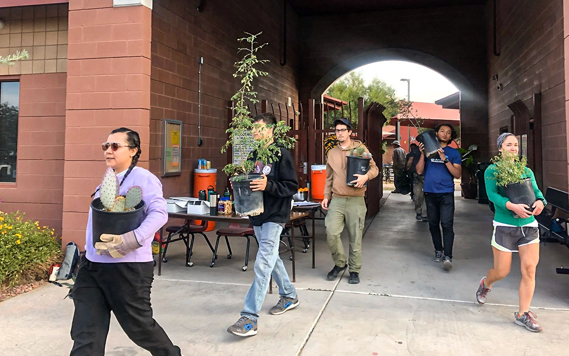 Carrying trees and shrubs to be planted