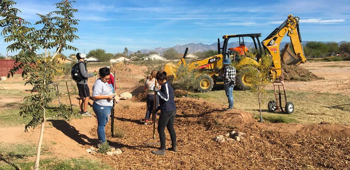 Drachman Institute Project