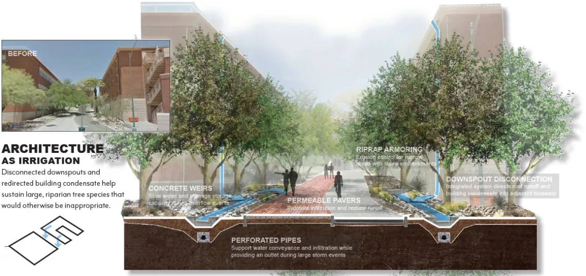 UArizona EPA Campus RainWorks Challenge Design